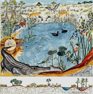 Wildlife - Circle of life - OS SERES VIVOS E O MEIO AMBIENTE